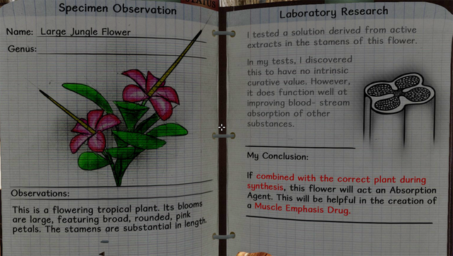 File:Large jungle flower notes.png