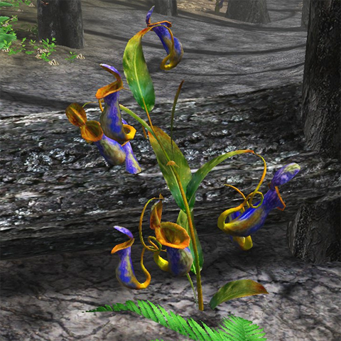 File:Carnivorous pitcher plant.png