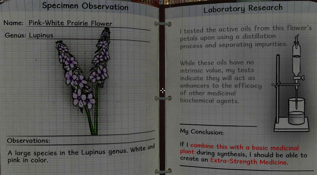 File:Pink-white prairie flower notes.png