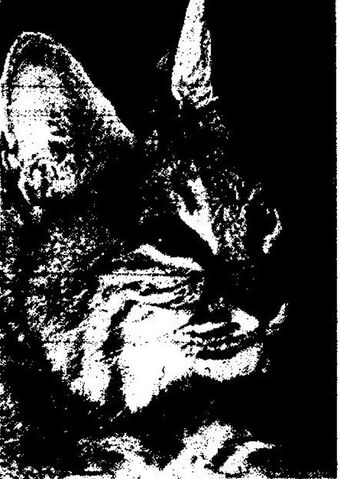 File:IMG 20140918 173608.jpg