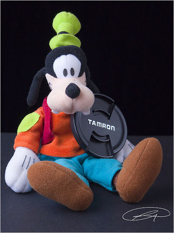 File:Goofy.jpg