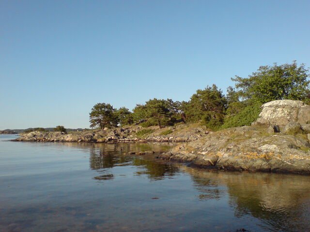 File:DSC01451.jpg