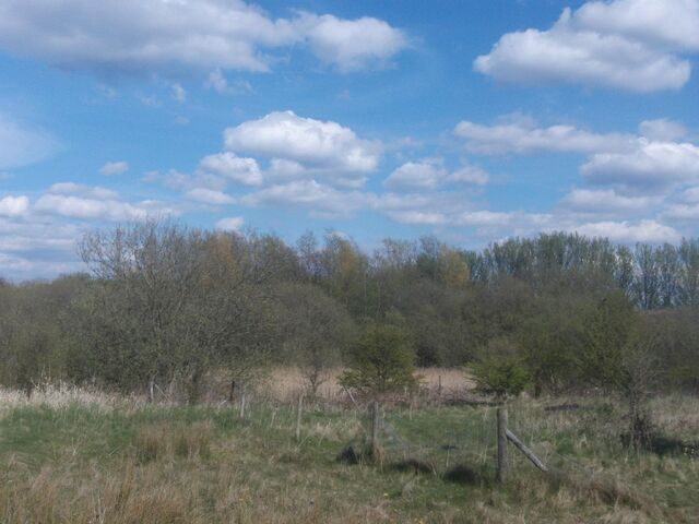 File:469569 2935934282708 356551524 o.jpg
