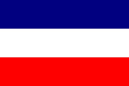 File:U.S.A flag.png