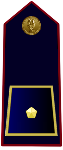 File:Vice inspettore.png