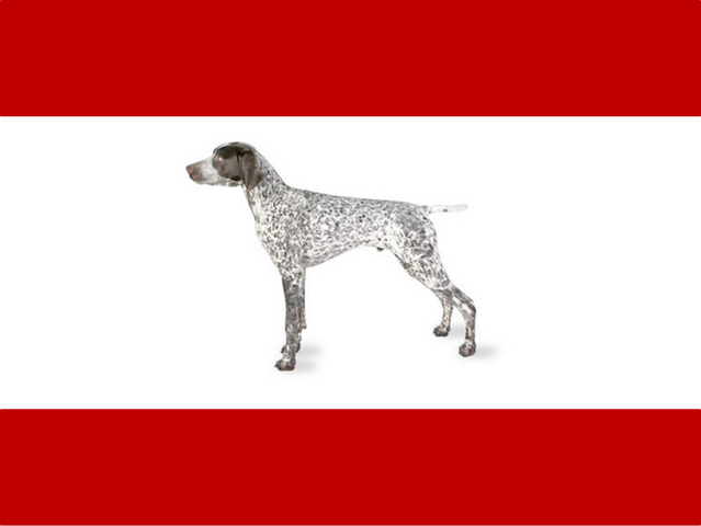 File:Flag of Er Rex.png