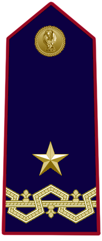 File:Vice prefetto.png
