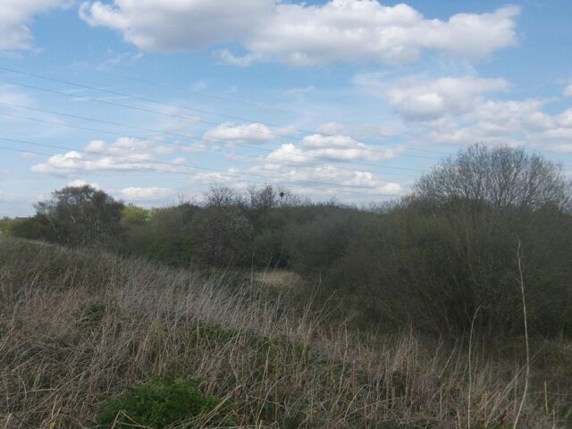 File:470880 2935940522864 60874704 o.jpg