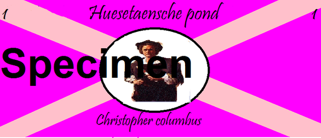 File:1 husetaanse pond.png