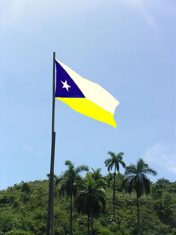 File:450pxflaggekubascopy.png
