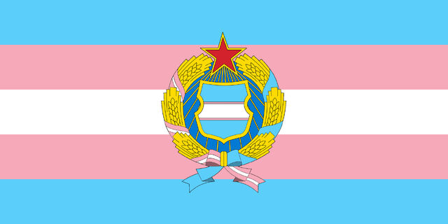 File:Trans UDSR.jpg
