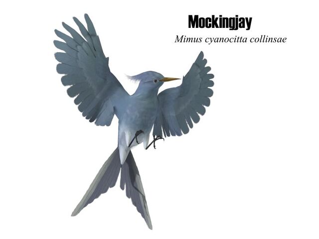 File:Mockingjay.jpg