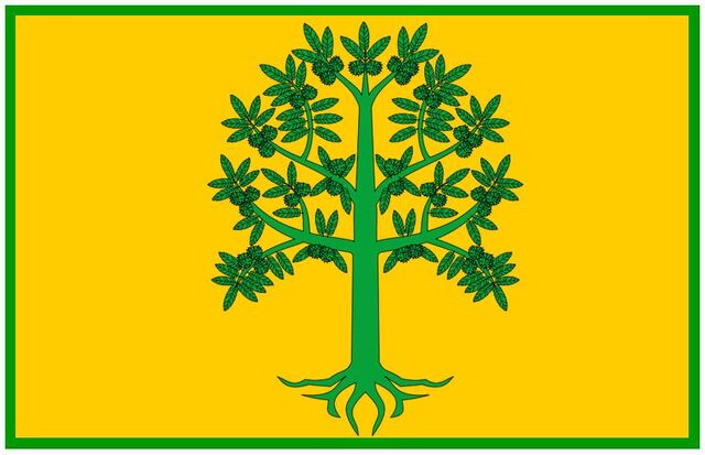 File:Chinquapinflag.jpg