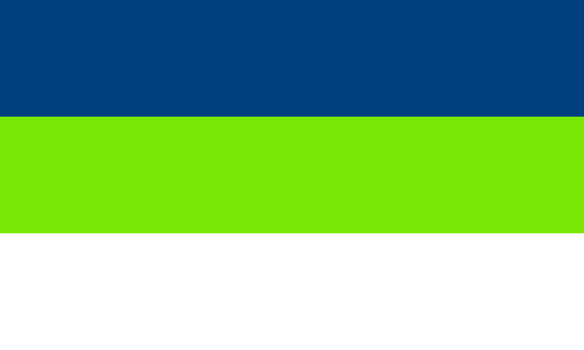File:Slivonskaflag.png
