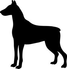 File:Doberman.jpg