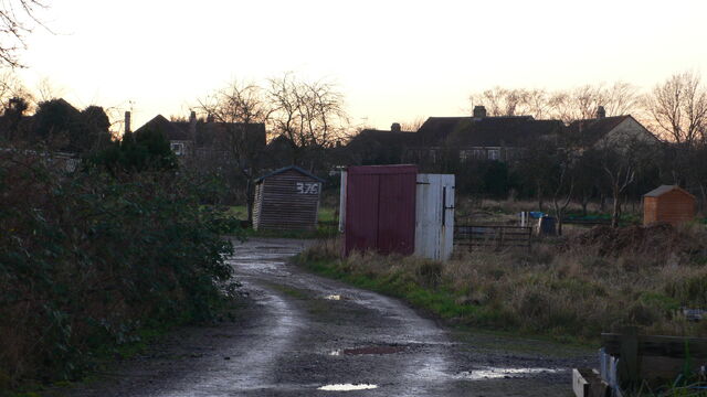 File:Scotannaeaphotographyimage3.jpg