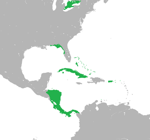 File:Us map.png