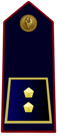 File:Inspettore.png
