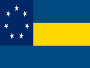 CSNS Flag
