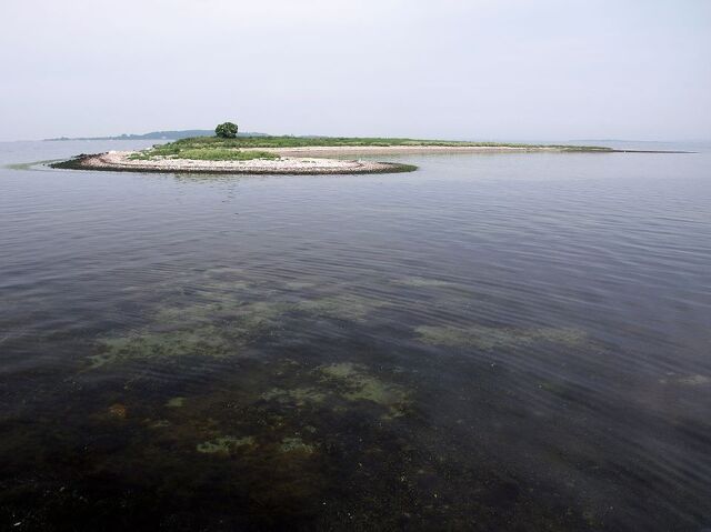 File:LarusiaView.jpg