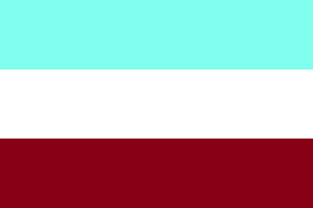 File:Civil Flag.png
