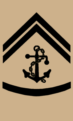 File:360px-SCAF PettOffSec.png