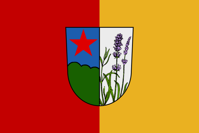 File:DV flag.png