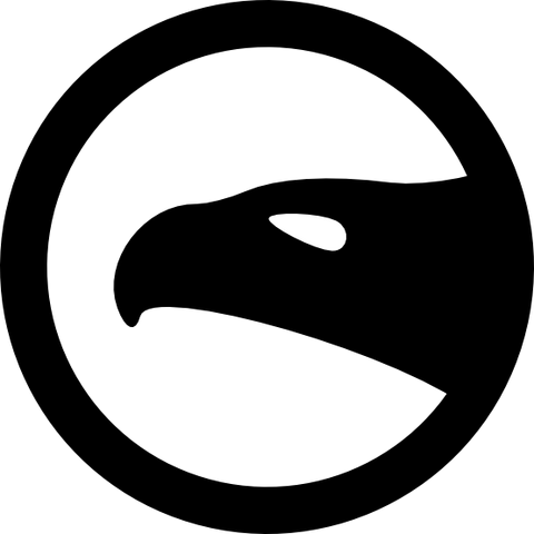 File:The eagle vision-555px.png