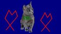 Thumbnail for version as of 17:32, February 5, 2011