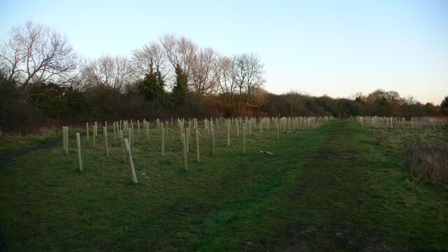 File:Scotannaeaphotographyimage8.jpg