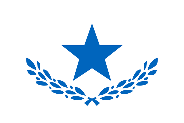 File:Flag of PMMRU.png