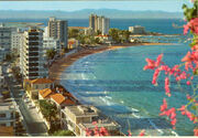 Varosha 1974 flowers