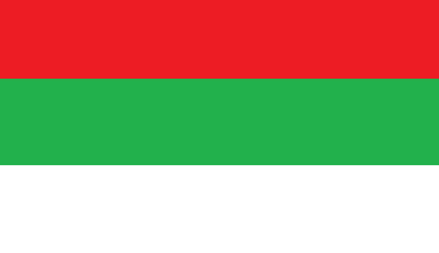 File:Flag fdk.png