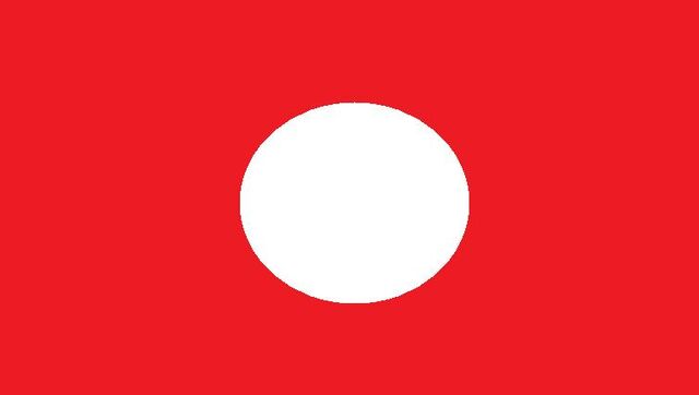 File:Updated Zetto City Flag.jpg