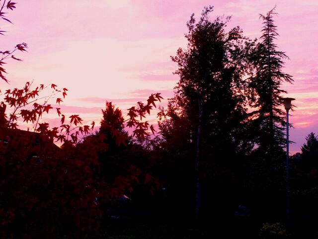 File:HFRSunset.jpg