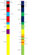 Patriarcha timeline2