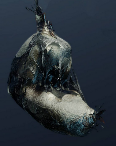 File:SpiderEgg.png