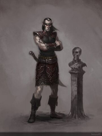 File:Elf Moredhel FINAL.jpg