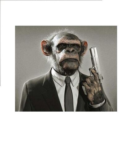 File:FunnyMonkey.jpg