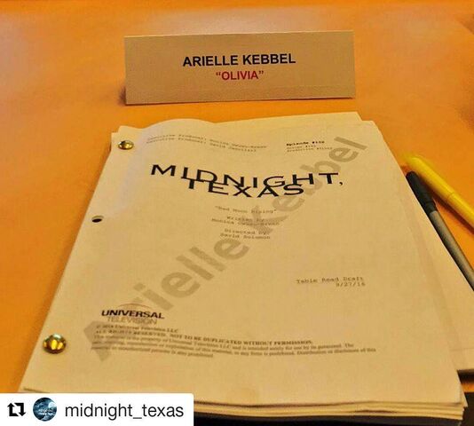 File:Arielle Kebbel script read.jpg