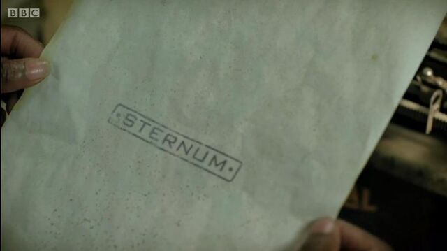 File:STERNUM.jpg