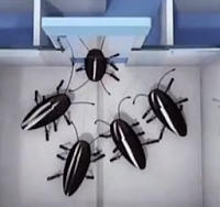 Kak-0.png