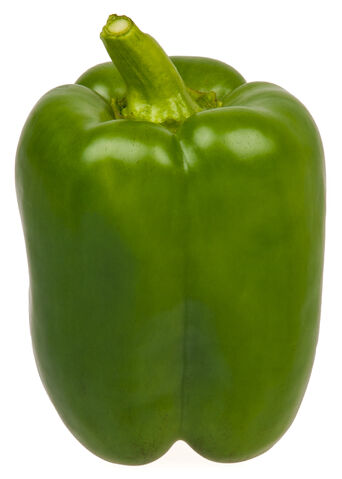 File:Green-Bell-Pepper.jpg