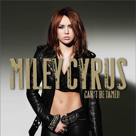 File:Can27tbetamedalbumcover.jpg