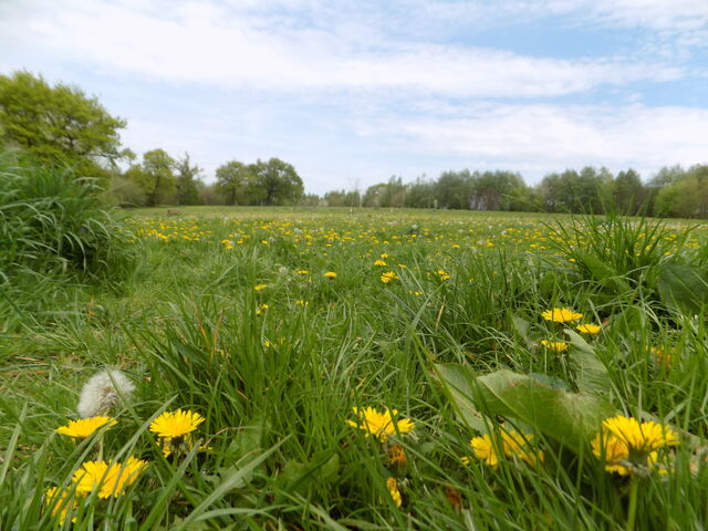File:DSCN0015.jpg