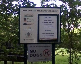 No Dogs