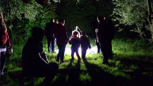 File:Bat and Moth Hunting.jpg