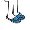 Blue Slippers