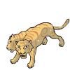 Cinnamon Swirl Two Headed Tiger