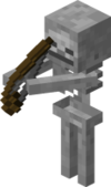 Skeleton